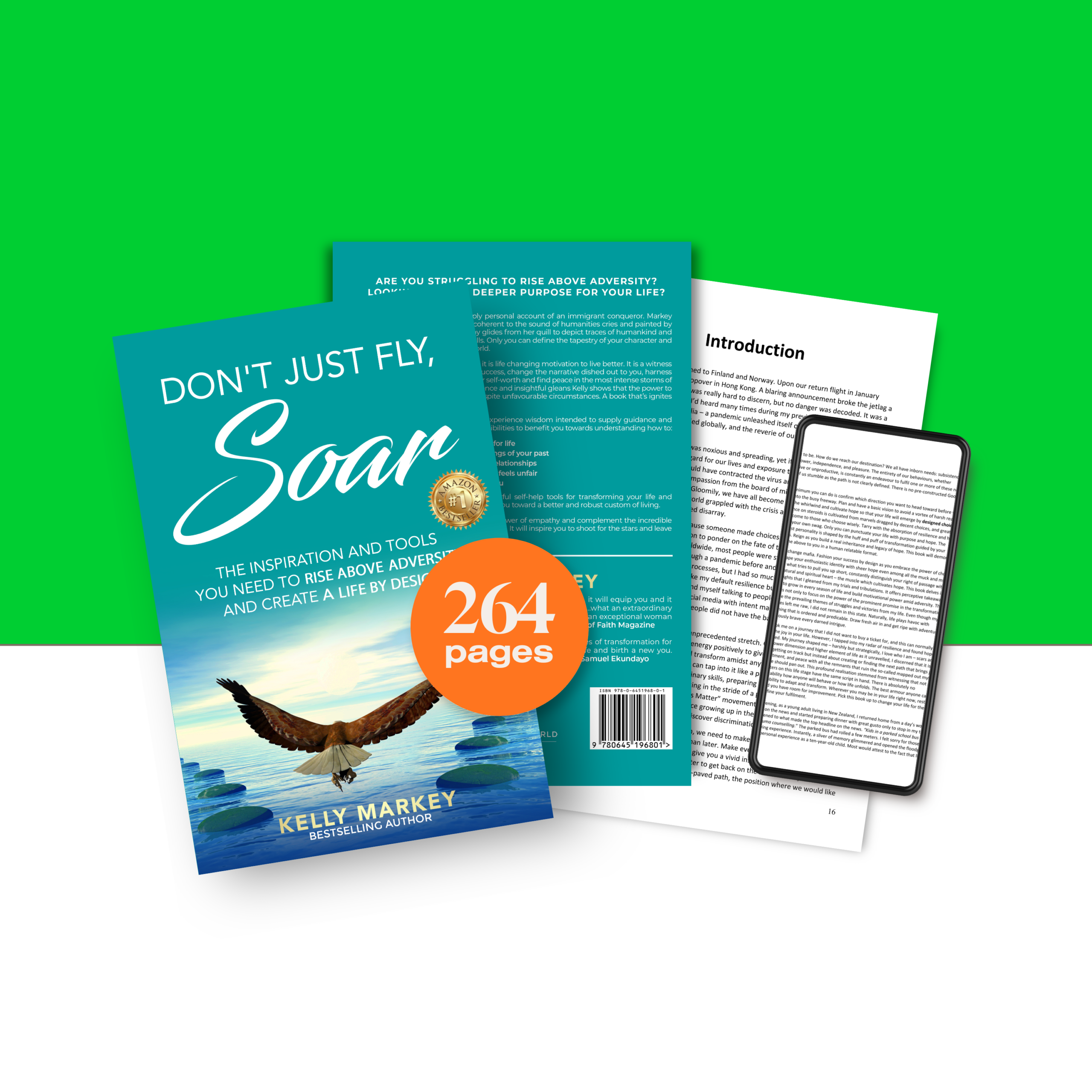 Don't Just Fly, SOAR: Rise Above Adversity & Create a Life by Design