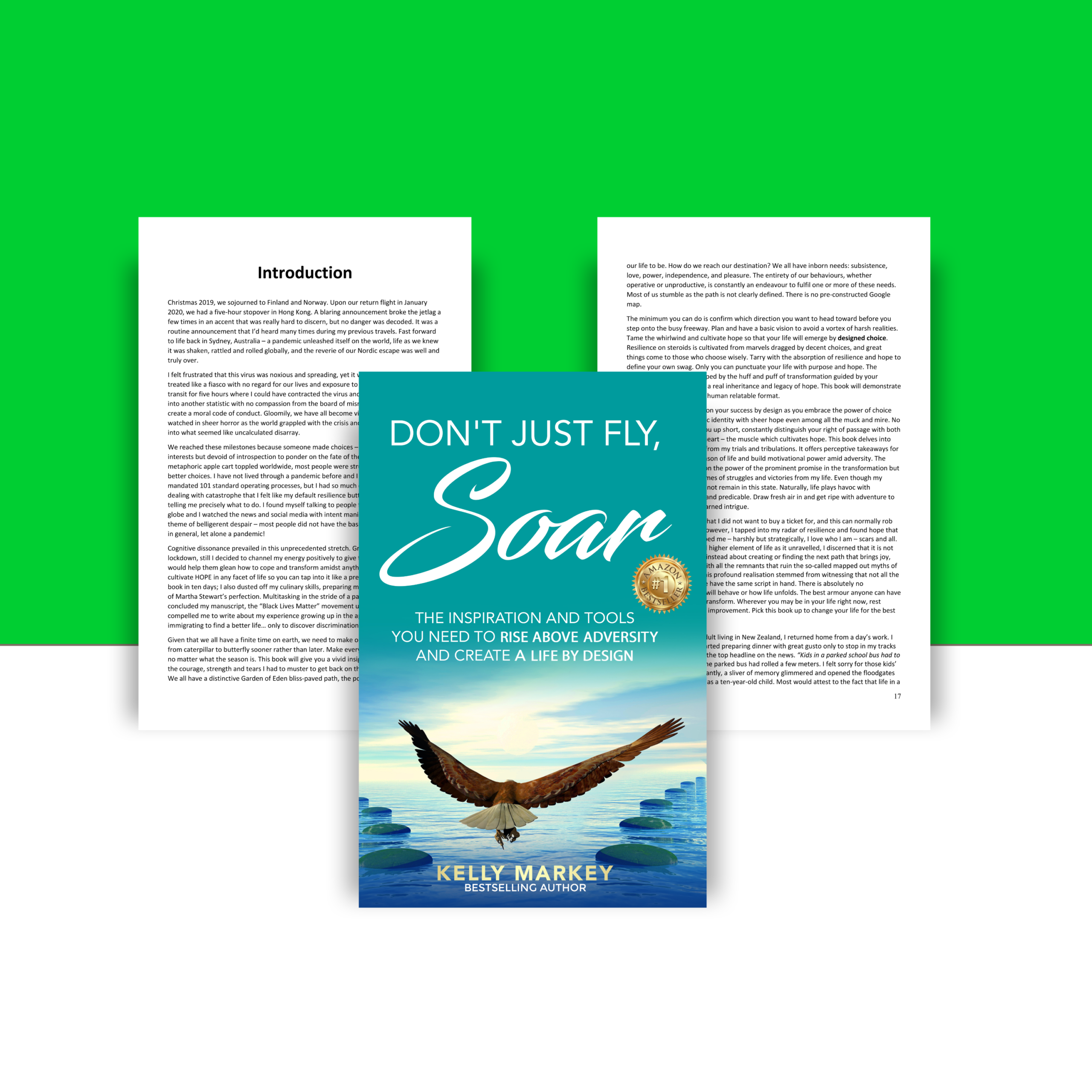 Don't Just Fly, SOAR: Rise Above Adversity & Create a Life by Design - Image 2