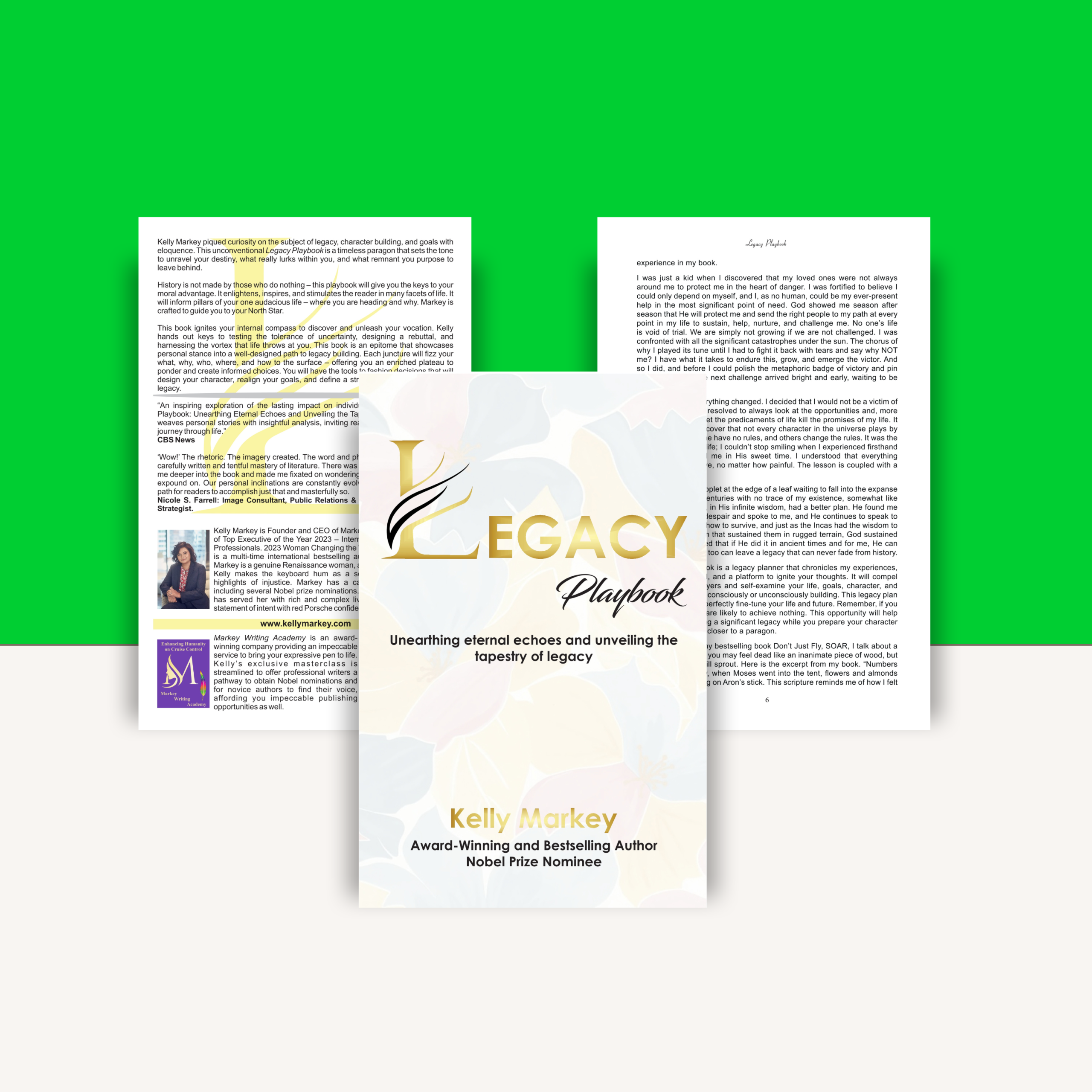 Legacy Playbook: The Unconventional Guide to Building a Life That Outlives You - Image 2