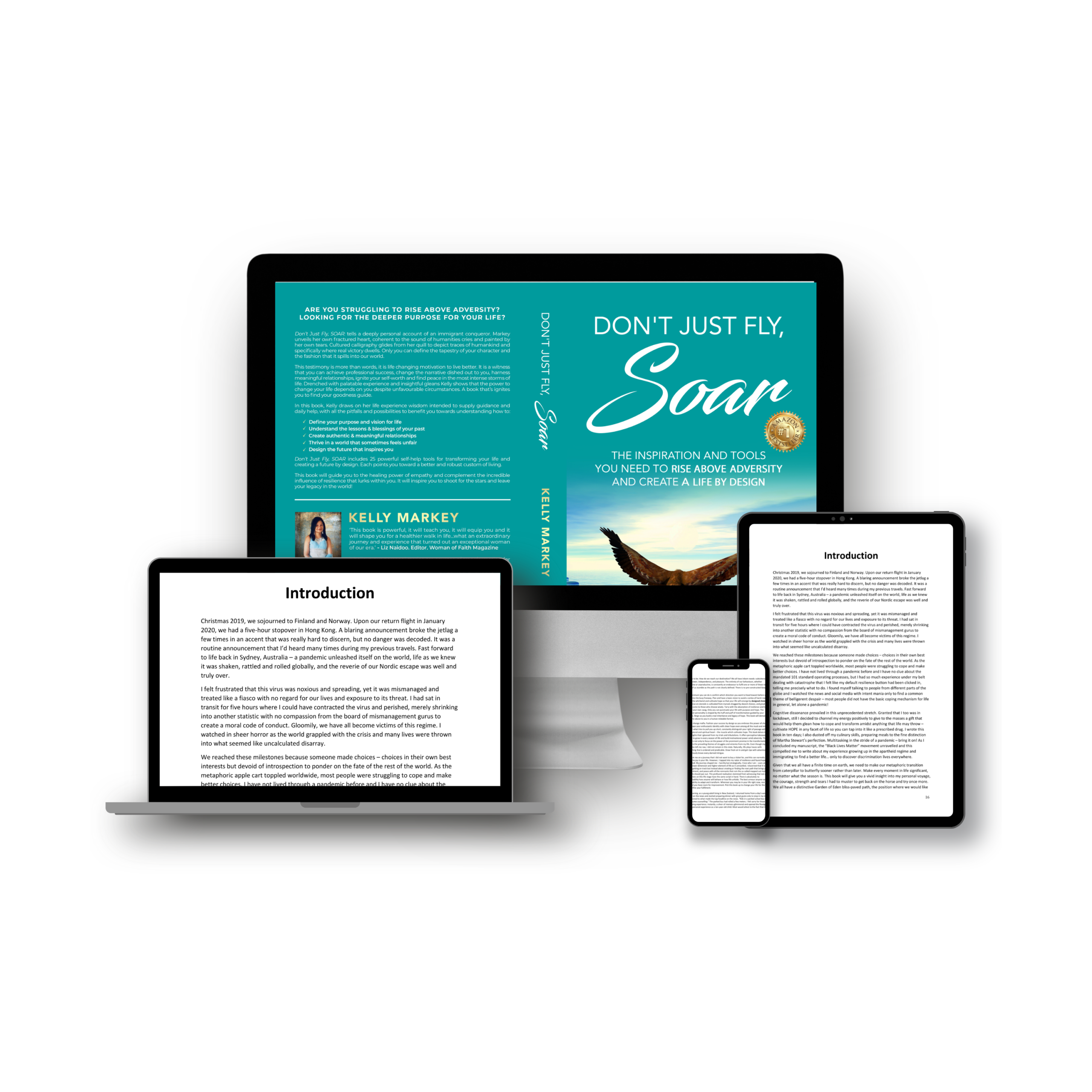 Don't Just Fly, SOAR: Rise Above Adversity & Create a Life by Design - Image 3