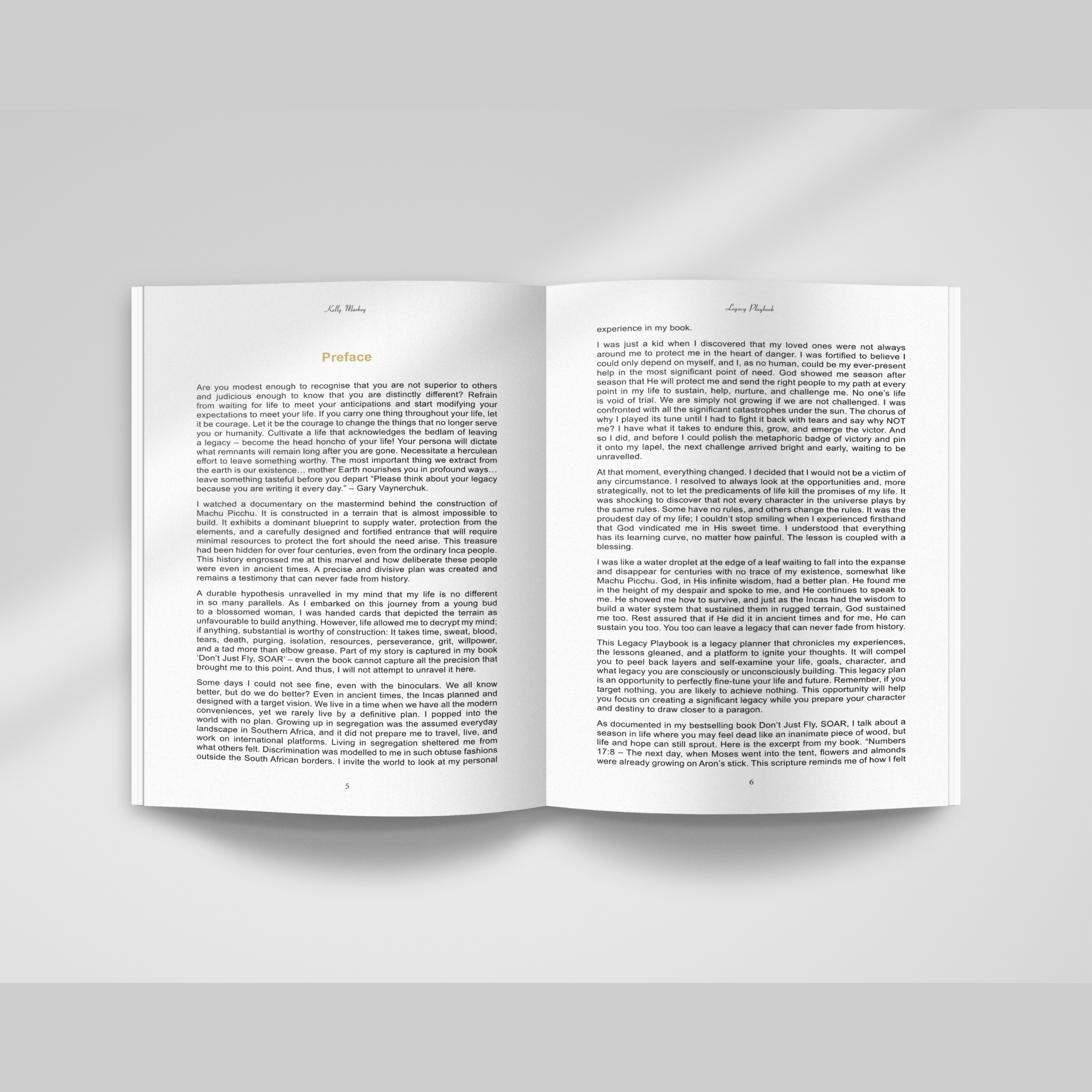 Legacy Playbook: The Unconventional Guide to Building a Life That Outlives You - Image 3